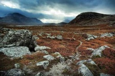 image of tundra