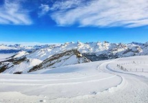 image of snowy
