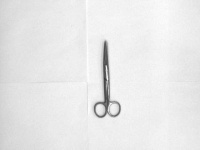 image of straight_scissor #20