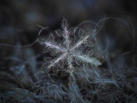 image of snowflake