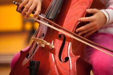 image of cello #22