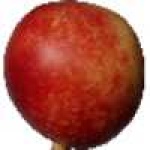 image of fruit