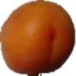 image of fruit