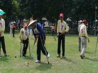 image of croquet_ball