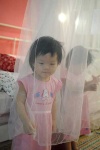 image of mosquito_net