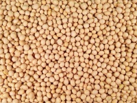 image of fruit_and_vegetable