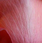 image of texture