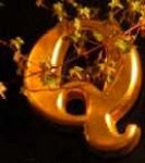 image of char