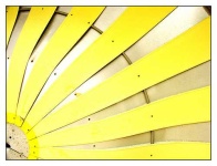 image of umbrella