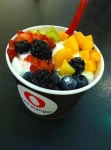 image of frozen_yogurt #3