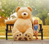 image of teddy_bear