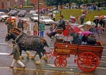 image of horse_cart #13
