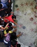 image of starfish