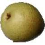 image of fruit