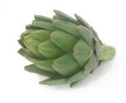 image of artichoke