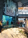 image of indoor