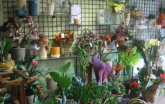 image of indoor