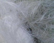 image of texture