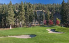 image of golf_club