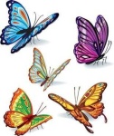 image of animal