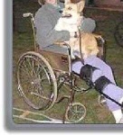 image of wheelchair