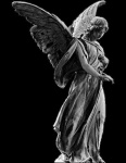 image of angel