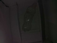 image of bottle_50cl