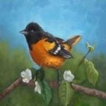 image of bird