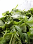 image of spinach #7