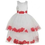 image of hoopskirt