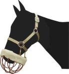 image of muzzle