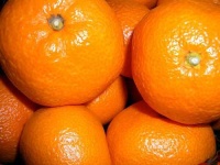 image of orange #22