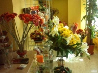 image of indoor