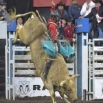 image of bull_riding #19