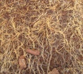 image of texture
