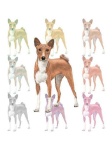 image of basenji