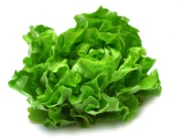 image of lettuce #20