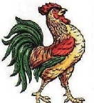 image of rooster
