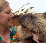 image of teddy_bear