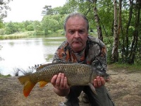 image of tench