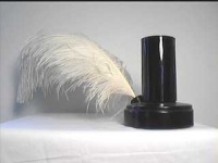 image of quill