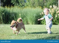 image of people_play_with_dog #8