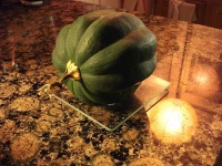 image of acorn_squash #27