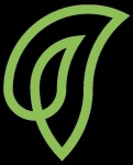 image of leaf