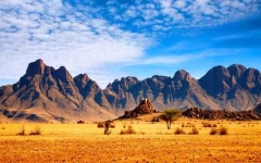 image of savanna