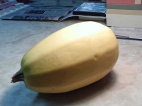 image of spaghetti_squash