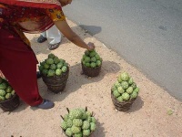 image of custard_apple #1