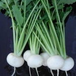 image of turnip #29