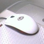 image of computer_mouse #89