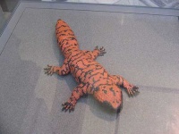 image of gila_monster